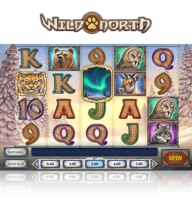 In-game view of Wild North slot